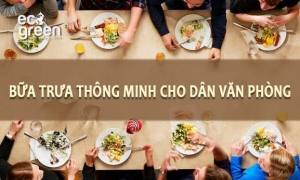 BỮA TRƯA THÔNG MINH CHO DÂN VĂN PHÒNG